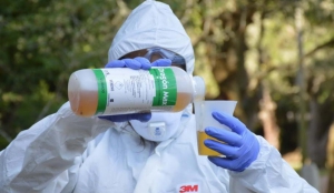 Fumigaci&oacute;n en Maldonado. 